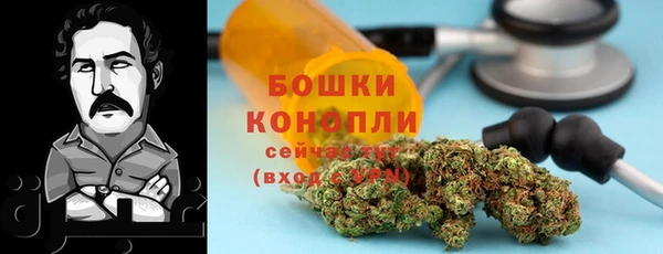 PSILOCYBIN Беломорск