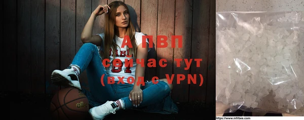 PSILOCYBIN Беломорск