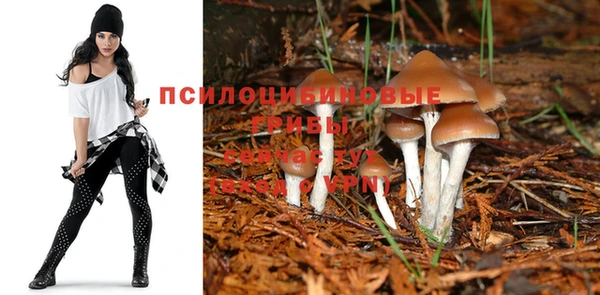 тгк Белоозёрский