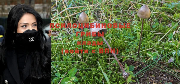 PSILOCYBIN Беломорск