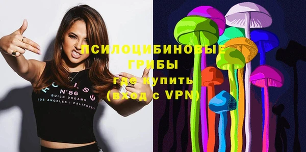 PSILOCYBIN Беломорск