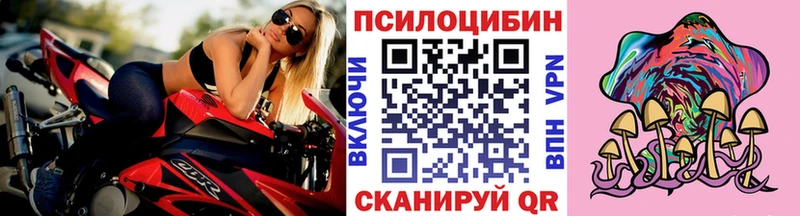 Галлюциногенные грибы Psilocybine cubensis Сердобск